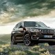 BMW X5 F15 2014